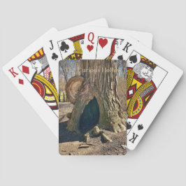 The Curious Hollow Casinokort