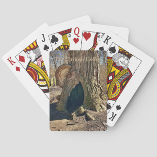 The Curious Hollow  Casinokort