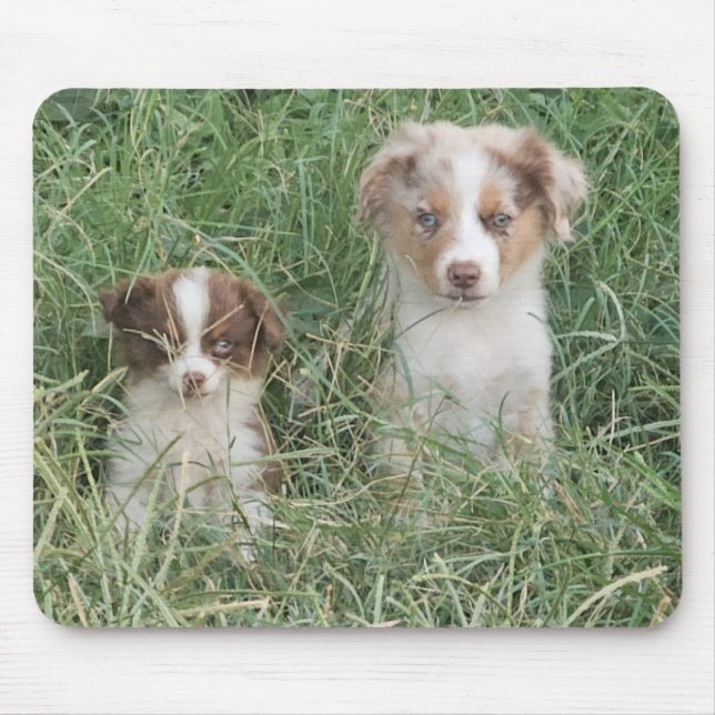 The Cuteness Never Stops Musmatta (Framsidan)