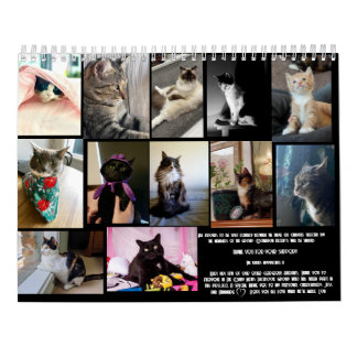 The Daily Mews, Cat Charity Calendar 2025 Kalender