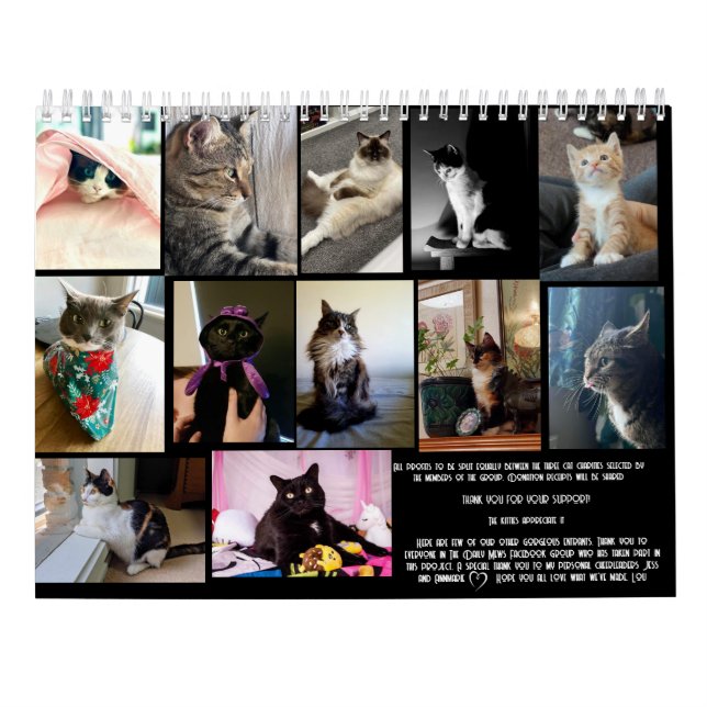 The Daily Mews, Cat Charity Calendar 2025 Kalender (Baksida)