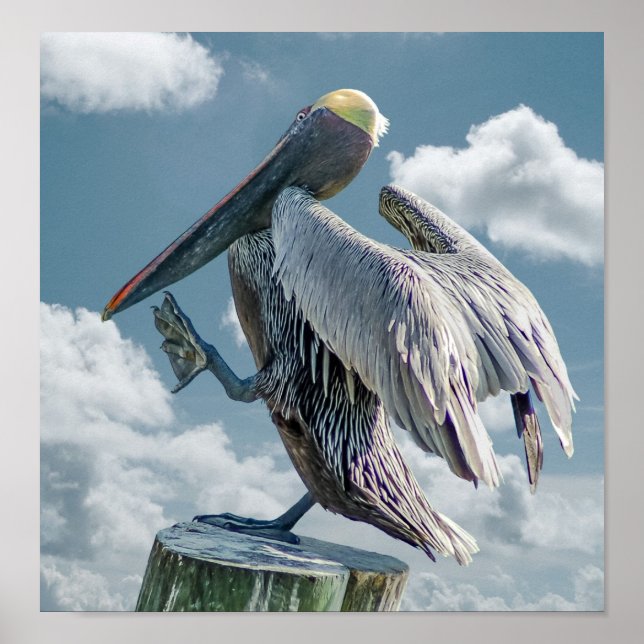 The Dancing Pelican Poster (Framsidan)