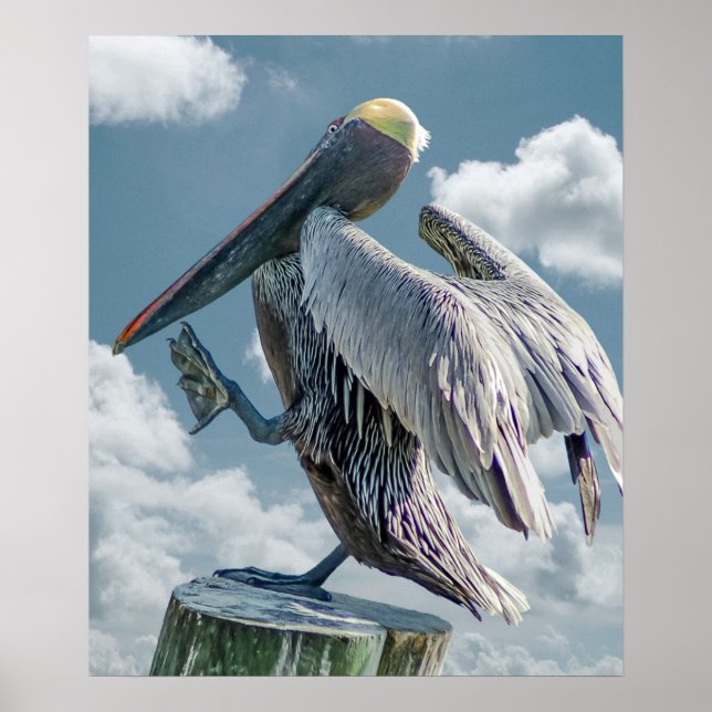 The Dancing Pelican Poster (Framsidan)