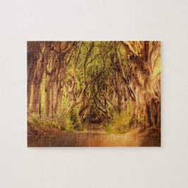 The Dark Hedges Antrim Irland. Pussel