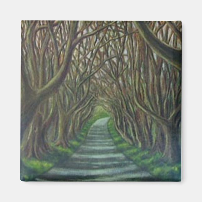 The Dark Hedges Magnet (Framsidan)