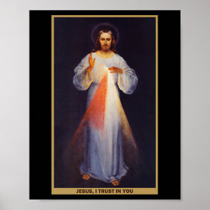 The Divine Mercy Shirt Premium Poster