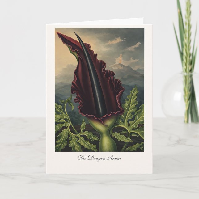 The Dragon Arum — Modern Botanical Reinterpretatio Kort (Framsida)