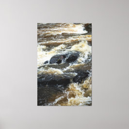 The Earths Pulse Canvastryck