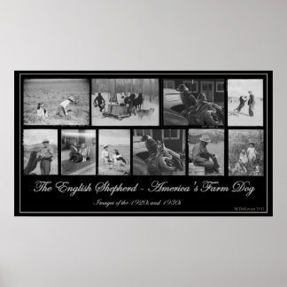 The English Shepherd - America's Farm Hund Poster