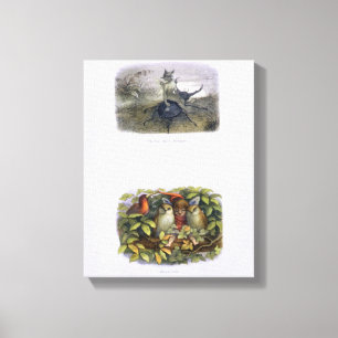 The Fairy Queen's Messenger, Elf och Uggla, sjuk Canvastryck