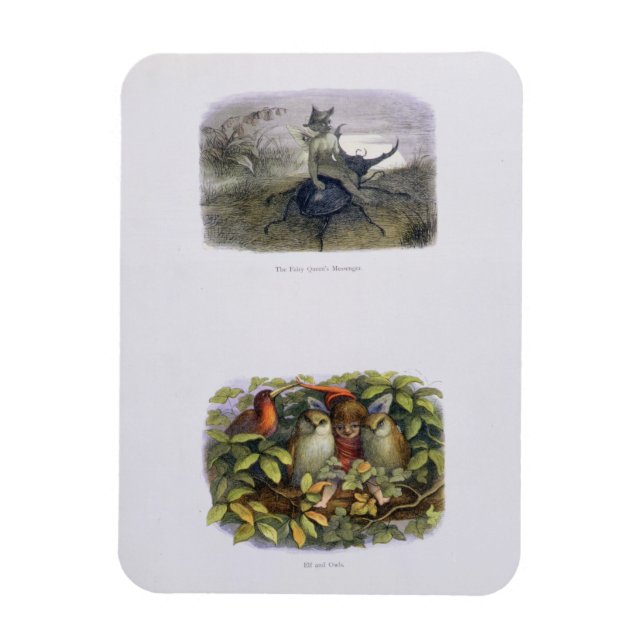 The Fairy Queen's Messenger, Elf och Uggla, sjuk Magnet (Vertikal)