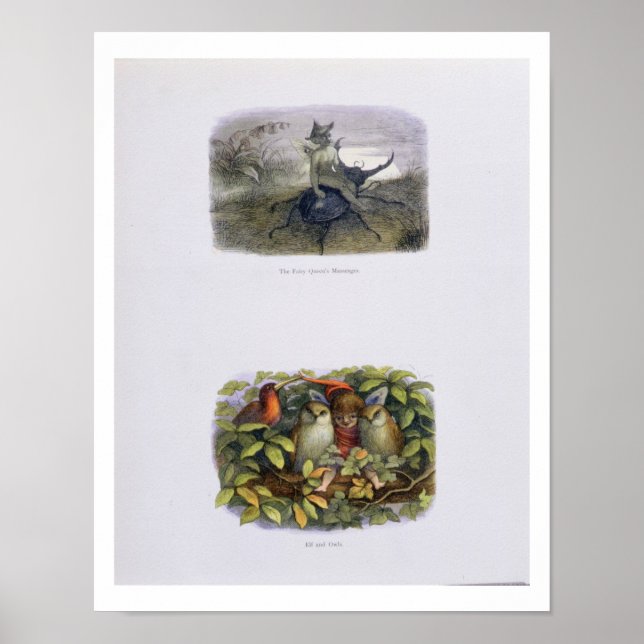 The Fairy Queen's Messenger, Elf och Uggla, sjuk Poster (Framsidan)