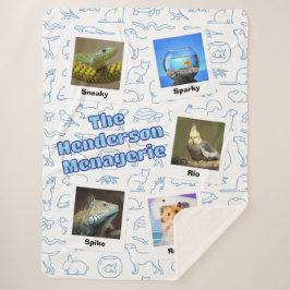 The Family Menagerie – Mixed Pet Custom Photo D