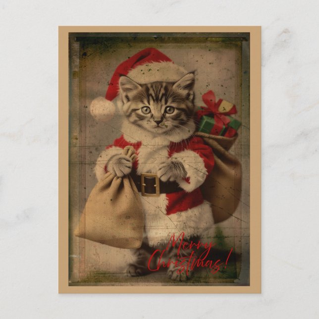 The 'Festive Folly' Kitten Christmas Postcard Vykort (Framsida)