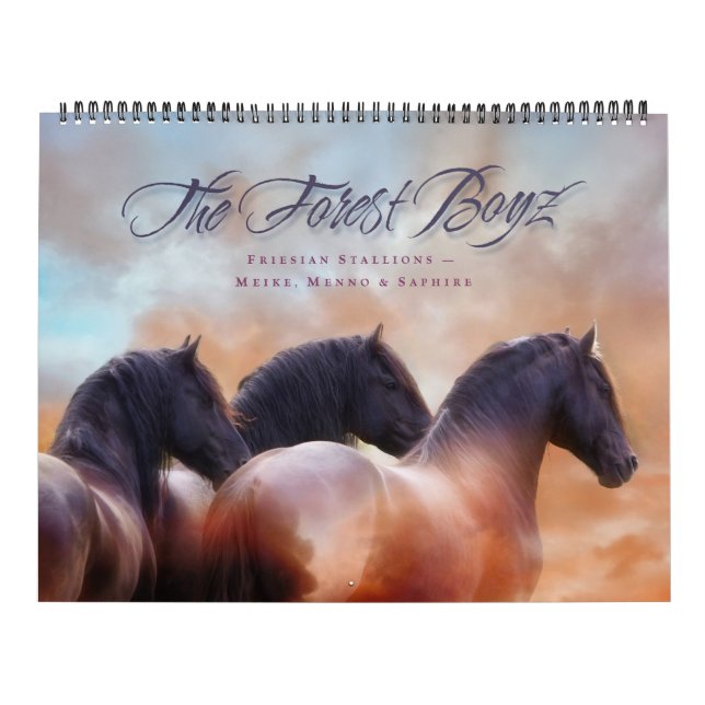 The Forest Boyz – Alltid & För evigt Kalender (Omslag)