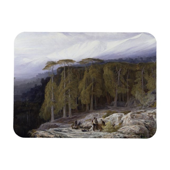 The Forest of Valdoniello, Corsica, 1869 (oil on c Magnet (Horisontell)