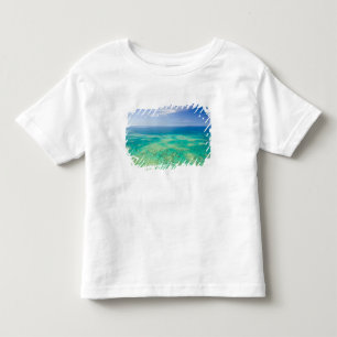 The Great Barrier Reef, flygbild över Green 2 Tee Shirt