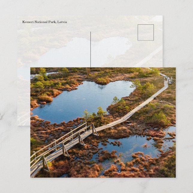 The Great Kemeri Bog Boardwalk, Latvia Vykort (Fram/baksida)