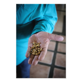 The Hand That Guides Fototryck