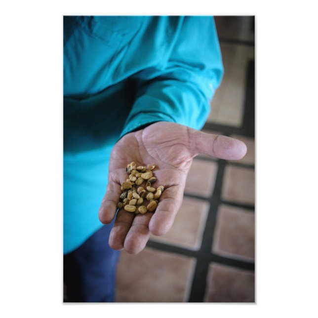 The Hand That Guides Fototryck (Framsidan)