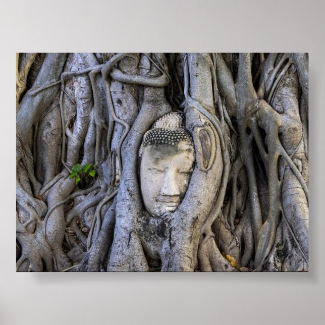 The head in the tree poster (Framsidan)