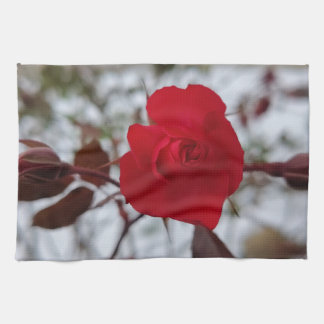 The Heart of Winter  Kökshandduk