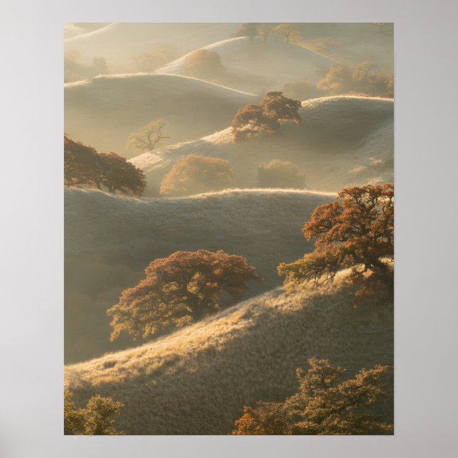 The Hills Poster (Framsidan)