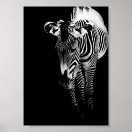 The Imperial One Print Poster