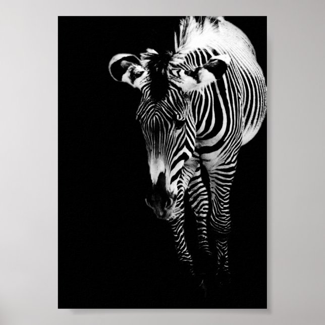 The Imperial One Print Poster (Framsidan)