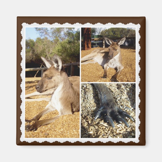 The Kangaroo Bild Collage, Magnet (Framsidan)