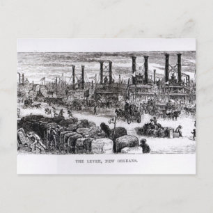 The Levee, New Orleans Vykort