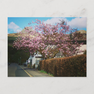 The Little Village of Glencoe, Skottland Vykort