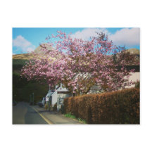The Little Village of Glencoe, Skottland