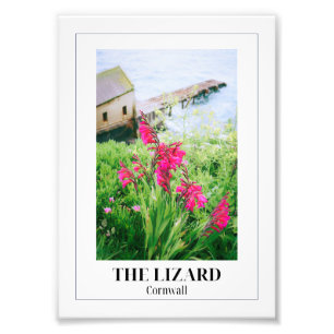 The Lizard, Cornwall Fototryck