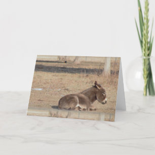 The Lonely Donkey Kort
