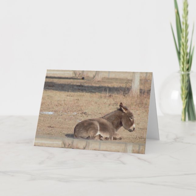 The Lonely Donkey Kort (Framsida)