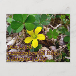 The Lord Remembered Her Bible Verse Postcard Vykort