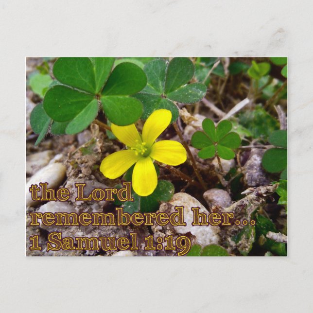 The Lord Remembered Her Bible Verse Postcard Vykort (Framsida)