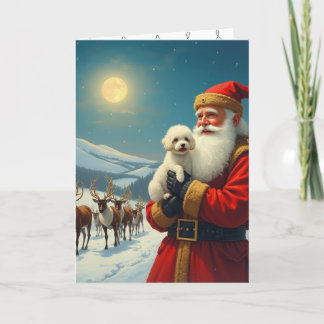 The loss of a pet at christmas tack kort