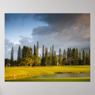 The Makai golfbana i Princeville Poster