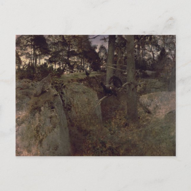 The Mating of the Capercaillies, 1888 Vykort (Framsida)