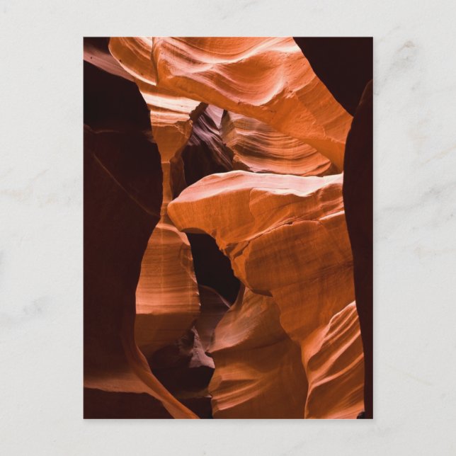 The Maze -postcardcopy Vykort (Framsida)