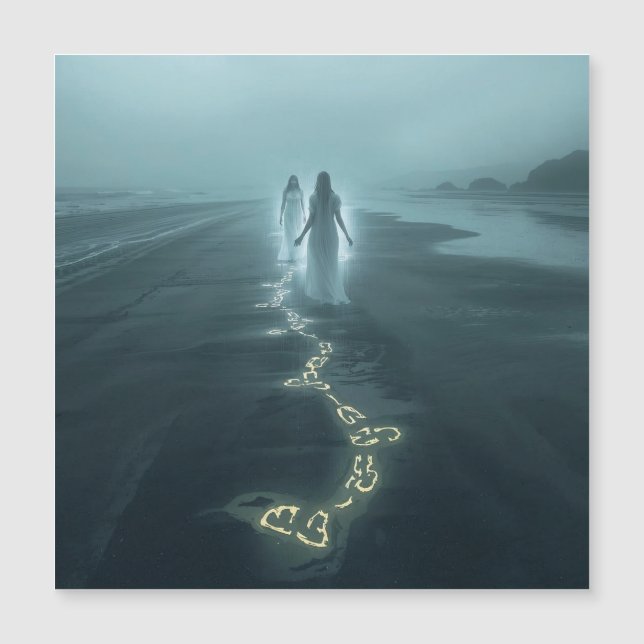 The Meeting on the Misty Shore (Framsida)