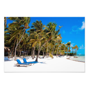 The Moorings Resort, Marathon, Key West, 2 Fototryck