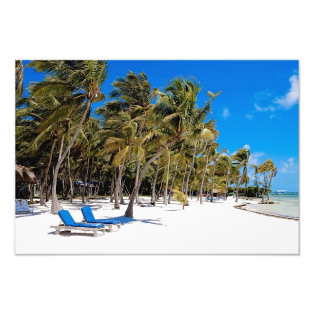 The Moorings Resort, Marathon, Key West, 2 Fototryck (Framsidan)