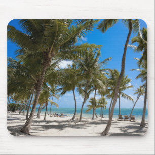 The Moorings Resort, Marathon, Key West, 2 Musmatta