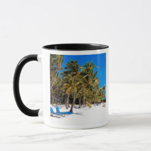 The Moorings Resort, Marathon, Key West, 3 Mugg