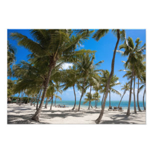 The Moorings Resort, Marathon, Key West Fototryck