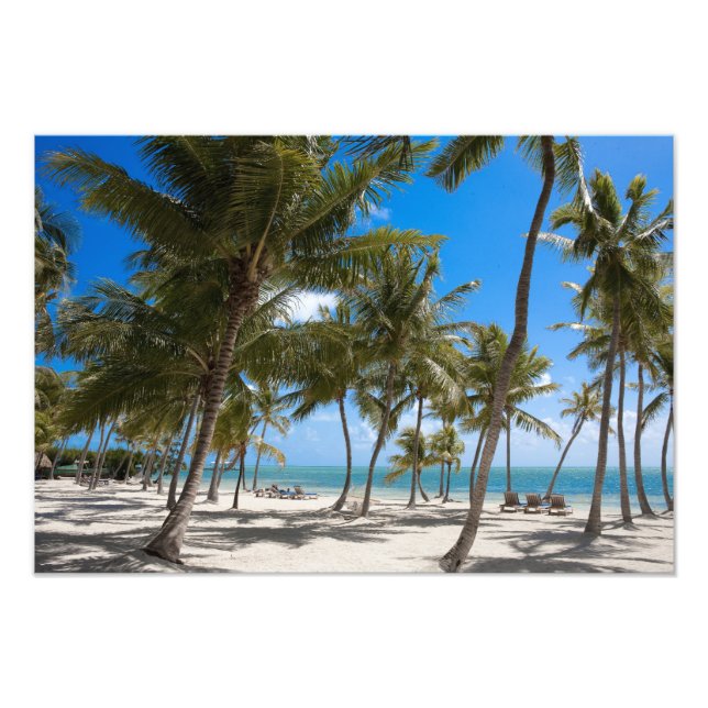 The Moorings Resort, Marathon, Key West, Fototryck (Framsidan)
