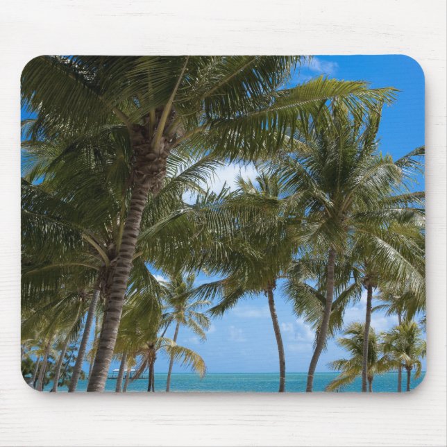 The Moorings Resort, Marathon, Key West, Musmatta (Framsidan)